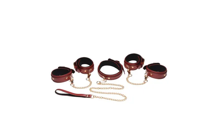 Anal Master Series 6 Pc Vegan Bondage Set Various Materials