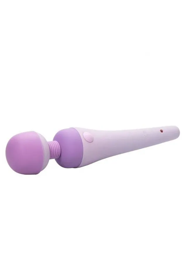 Cal Exotics Inspire Massager Purple Cal Exotics Vibrators