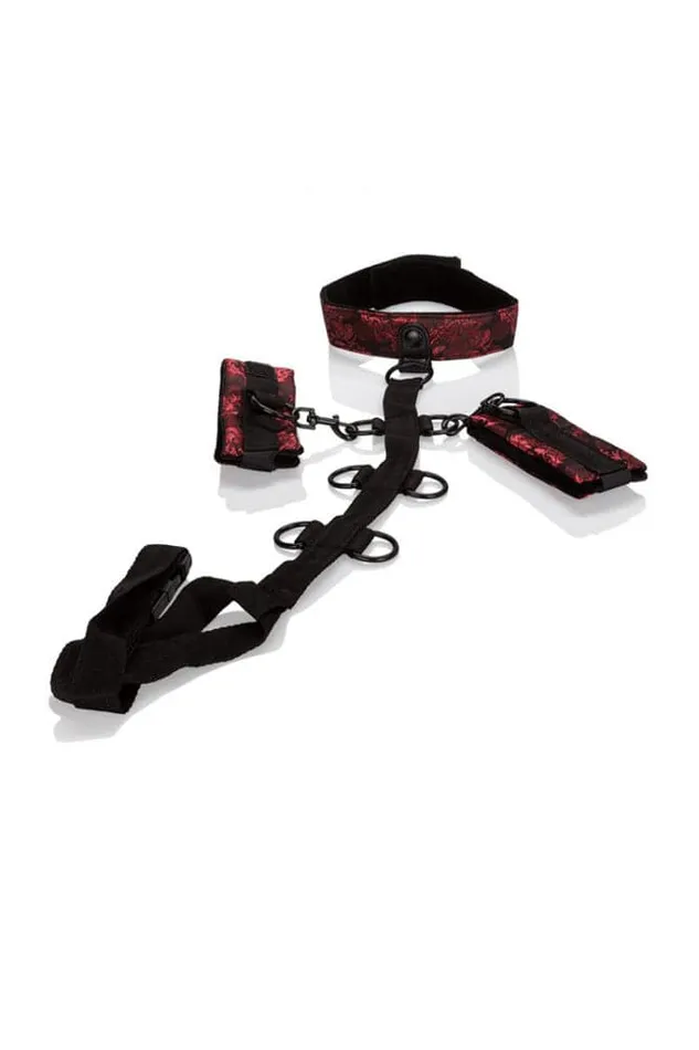 Female Sex Toys Cal Exotics Cal Exotics Scandal Collar Body Restraint