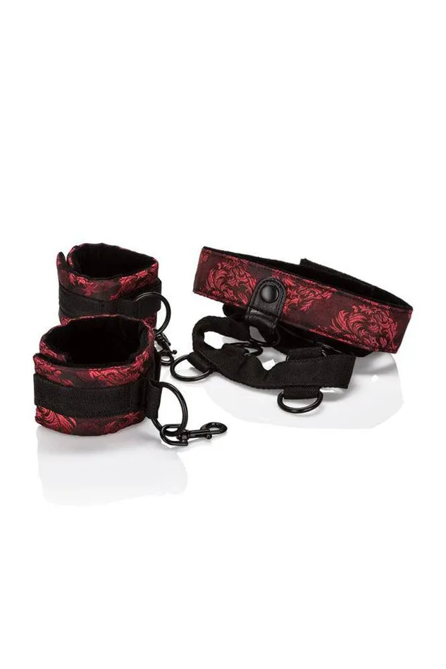 Female Sex Toys Cal Exotics Cal Exotics Scandal Collar Body Restraint