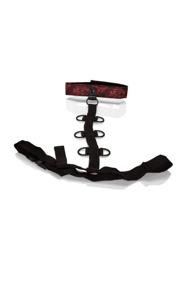 Female Sex Toys Cal Exotics Cal Exotics Scandal Collar Body Restraint