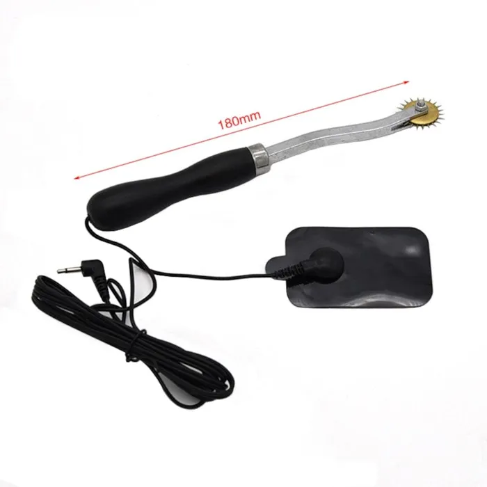 Lovegasm Couples Shocking Sensation Pinwheel BDSM Kit