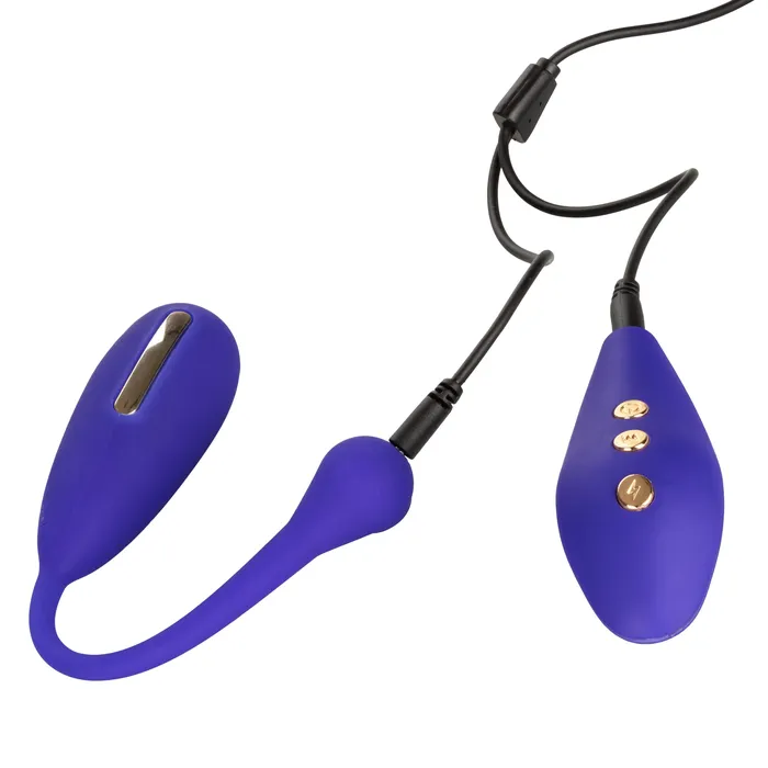 California Exotics Female Sex Toys California Exotics Impulse Intimate E Stimulator Remote Kegel Exerciser Purple California Exotics Female Sex Toys California Exotics Impulse Intimate E Stimulator Remote Kegel Exerciser Purple