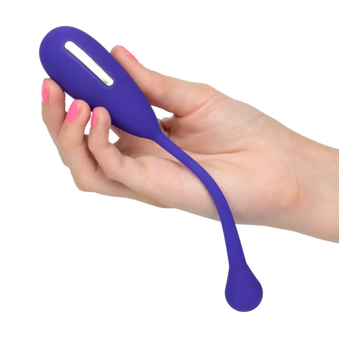 California Exotics Female Sex Toys California Exotics Impulse Intimate E Stimulator Remote Kegel Exerciser Purple California Exotics Female Sex Toys California Exotics Impulse Intimate E Stimulator Remote Kegel Exerciser Purple