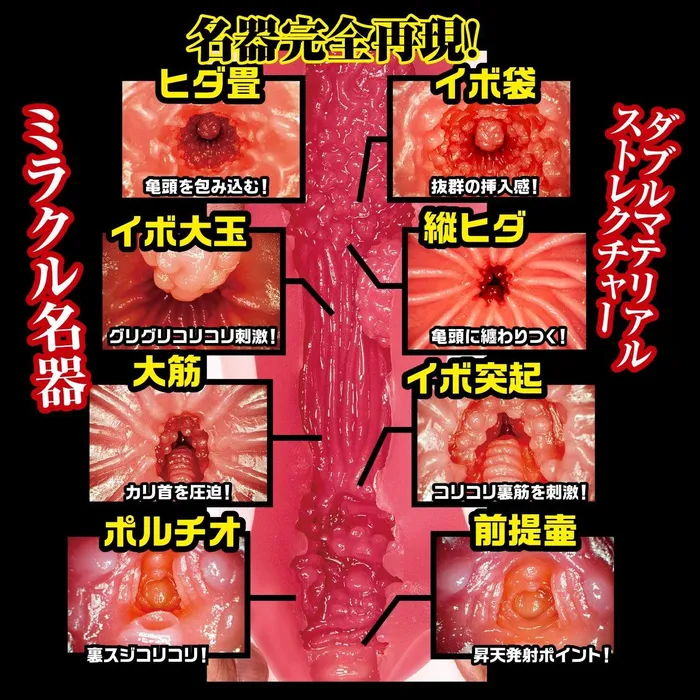 NPG NPG Proof of Famous Instrument Zero Minami Aizawa Meiki Onahole Beige Anal