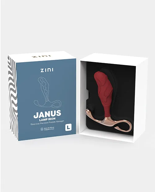 Male Sex Toys Bonner Trading Usa INC Zini Janus Lamp Iron Large Maroon Male Sex Toys Bonner Trading Usa INC Zini Janus Lamp Iron Large Maroon