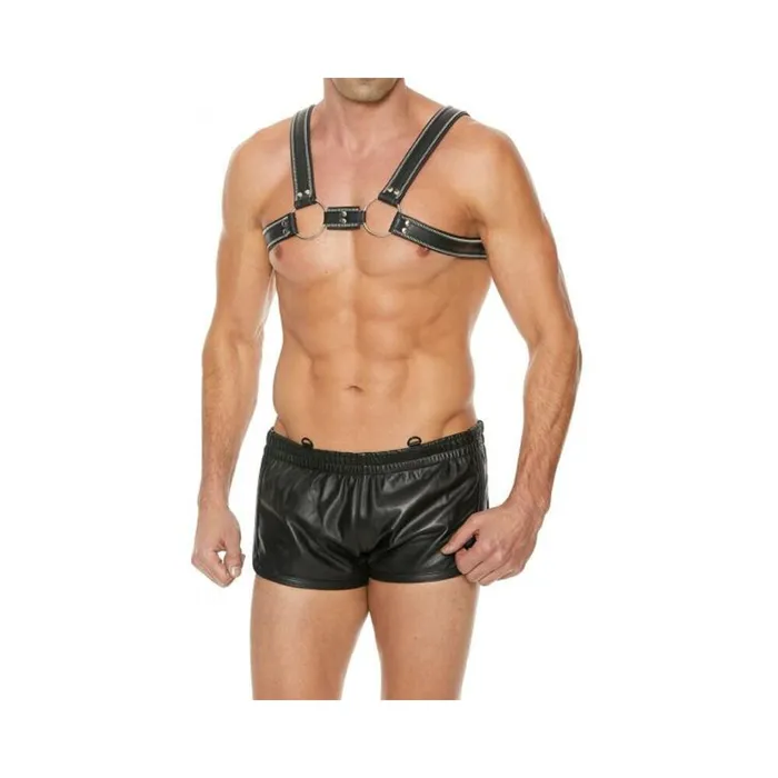 Shots America LLC Premium Leather Oring Zipper Series Bulldog Harness Sm Black Male Sex Toys Shots America LLC Premium Leather Oring Zipper Series Bulldog Harness Sm Black Male Sex Toys