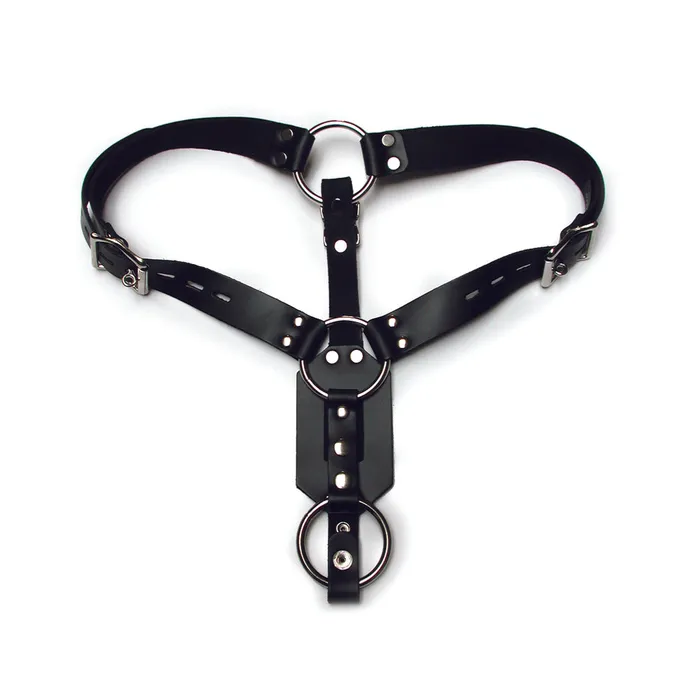 Stockroomcom Male Sex Toys Kinklab Anal Plug Harness With Cock Ring