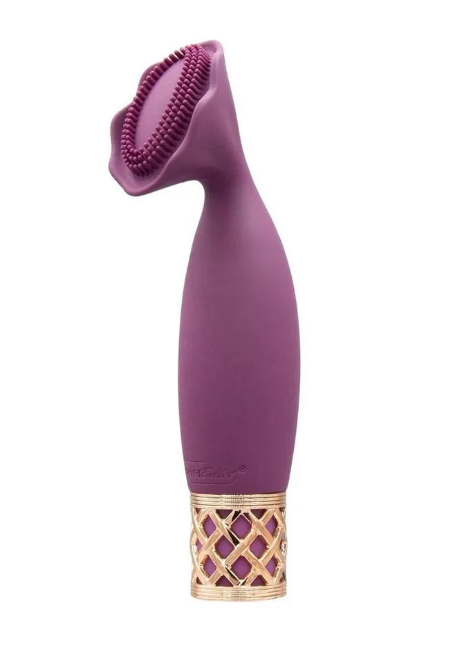 Female Sex Toys Pillowtalk Pillow Talk Passion Rechargeable Silicone Massager Female Sex Toys Pillowtalk Pillow Talk Passion Rechargeable Silicone Massager