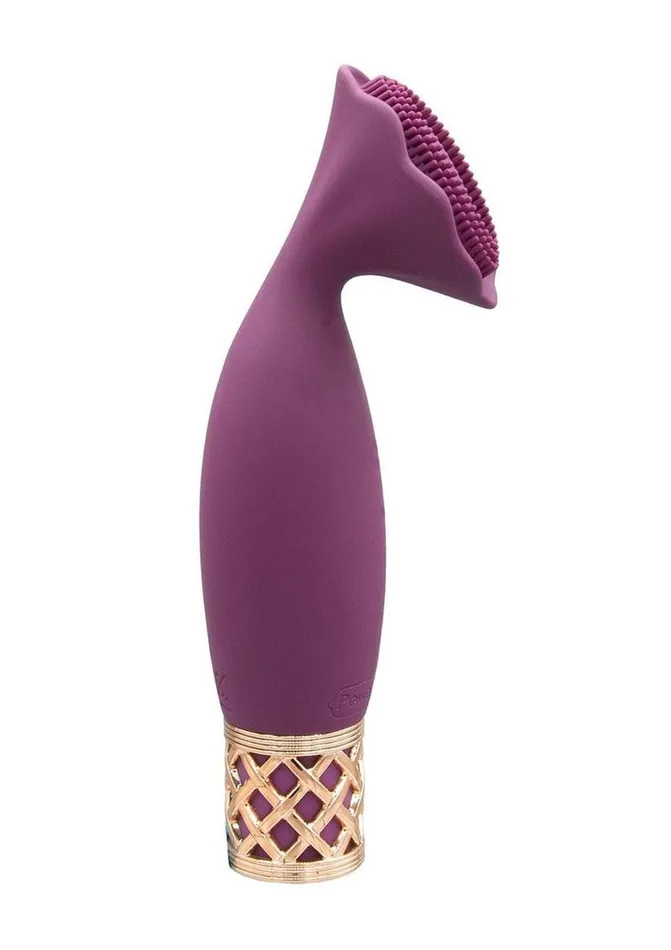 Female Sex Toys Pillowtalk Pillow Talk Passion Rechargeable Silicone Massager