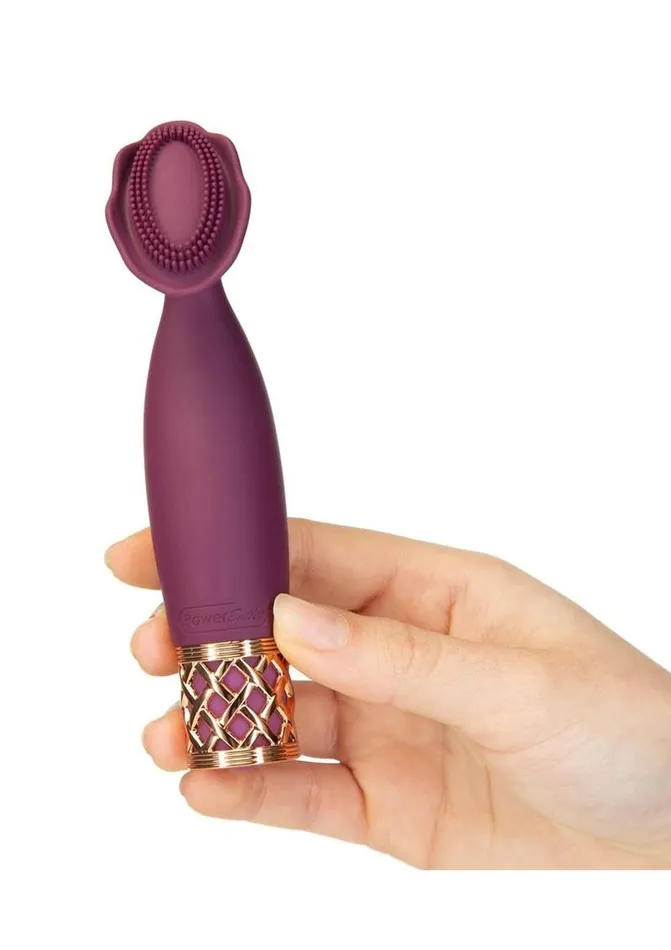 Female Sex Toys Pillowtalk Pillow Talk Passion Rechargeable Silicone Massager