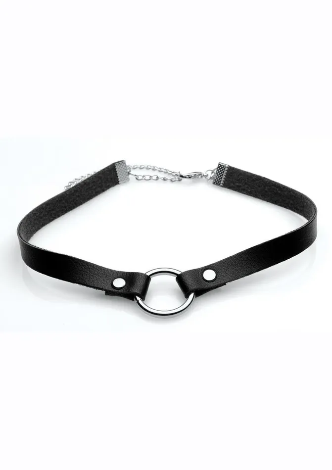 Master Series Male Sex Toys Master Series Silver Ring Slim Choker