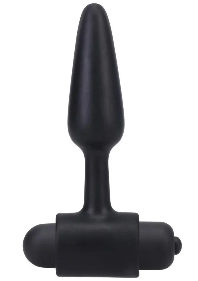 In A Bag Anal In A Bag Silicone Vibrating Butt Plug