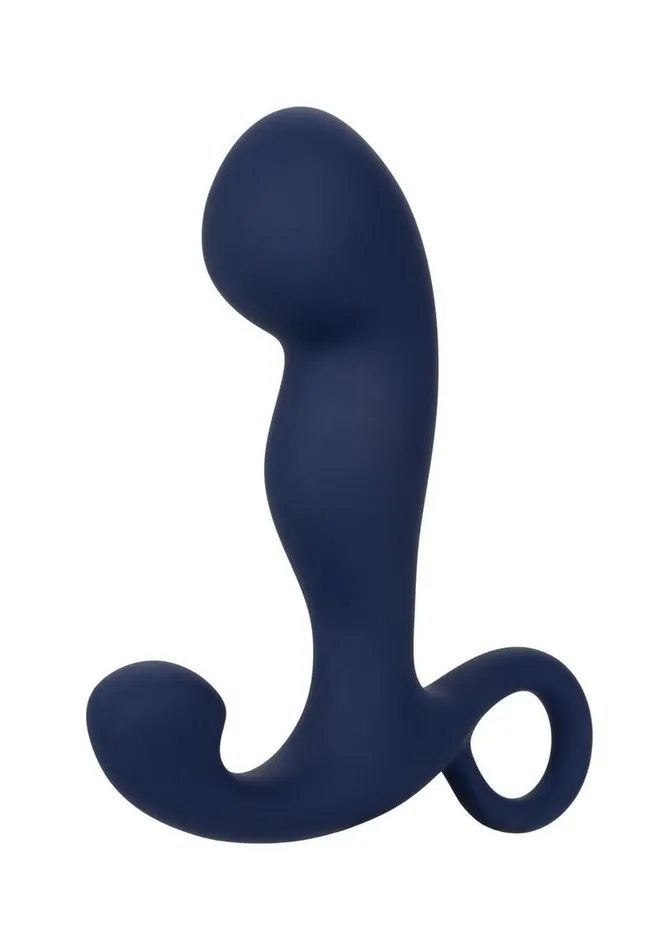 Viceroy Anal Viceroy Silicone Rechargeable Command Probe