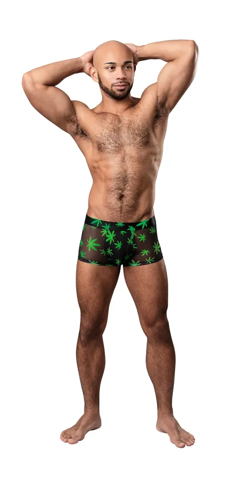 Male Sex Toys Male Power Hazy Dayz Pouch Short Large Pot Leaf