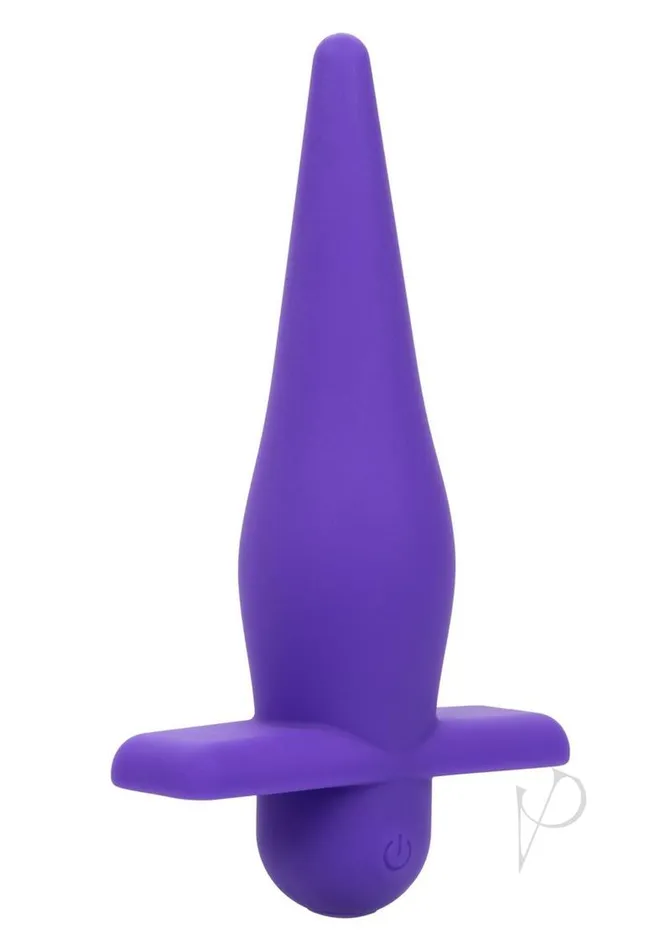 Anal Anal Anal Toys Rechargeable Silicone High Intense Probe Purple