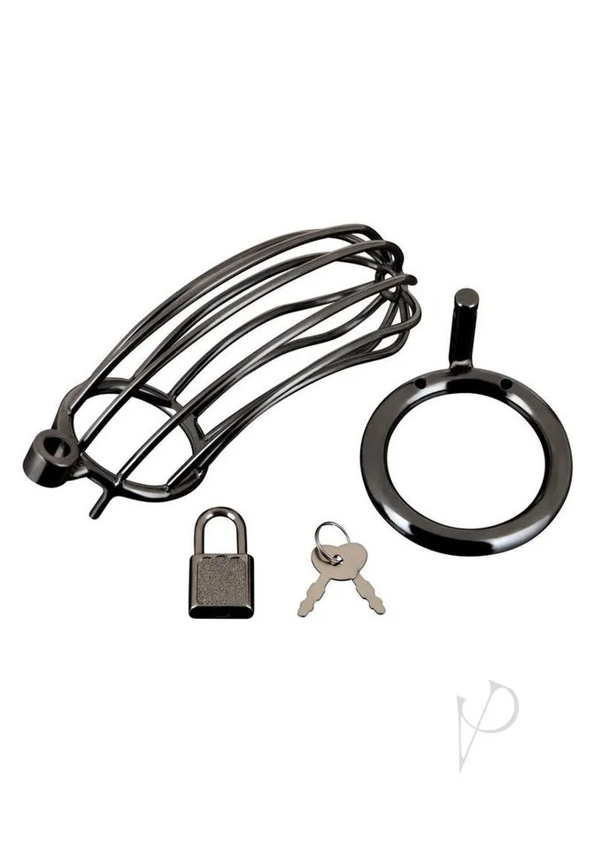 Blue Line Cand B Gear Male Sex Toys Prisoner Cock Cage Black Blue Line Cand B Gear Male Sex Toys Prisoner Cock Cage Black