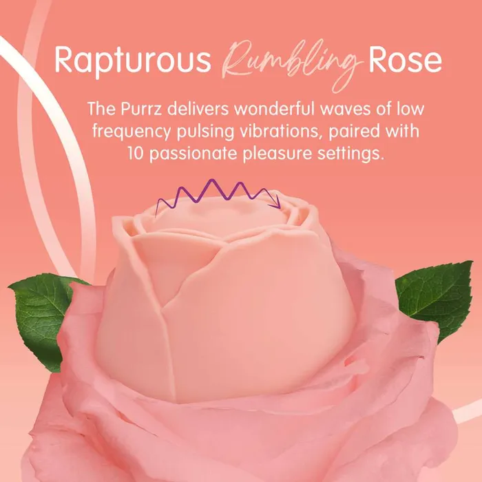 Creative Conceptions Vibrators Skins Rose Buddies The Rose Purrz Rose Vibrator