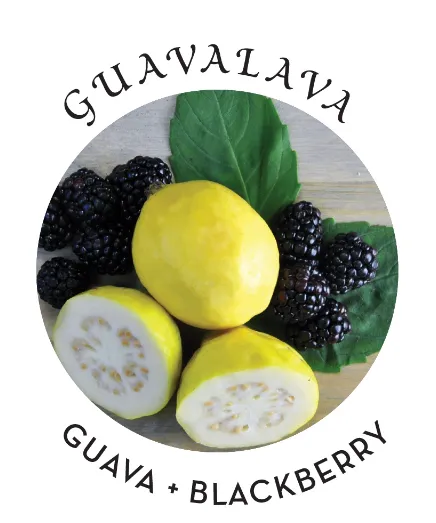 Earthly Body Earthly Body Hemp Seed Massage in a Box Guavalava Female Sex Toys