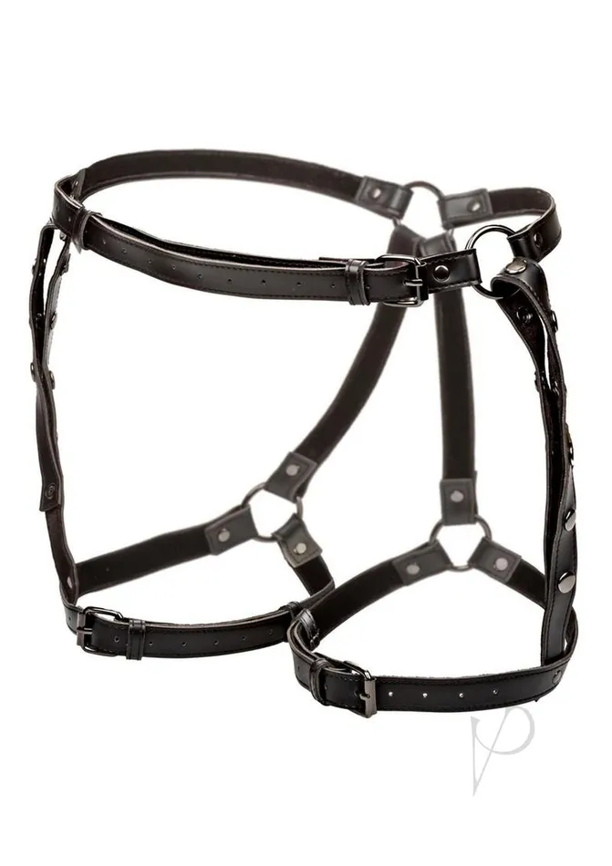Euphoria Plus Size Euphoria Collection Riding Thigh Harness Plus Size Black