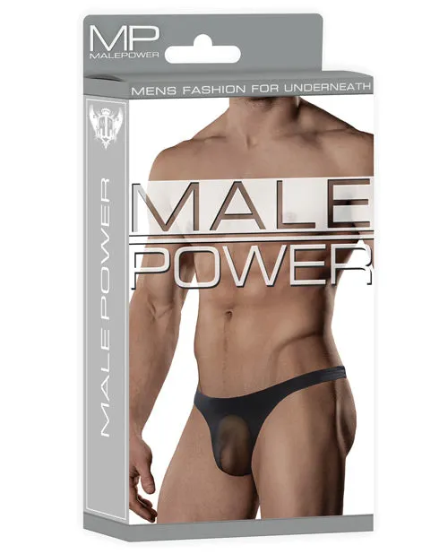 Male Power Sheer Nylon Lycra Pouch Thong Black LXL Male Power Anal Male Power Sheer Nylon Lycra Pouch Thong Black LXL Male Power Anal
