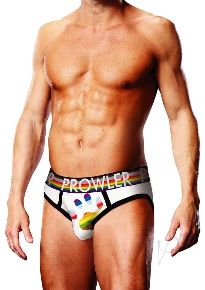 Prowler Female Sex Toys Prowler Pride Brief Collection 3 Pack XXL Multicolor Prowler Female Sex Toys Prowler Pride Brief Collection 3 Pack XXL Multicolor