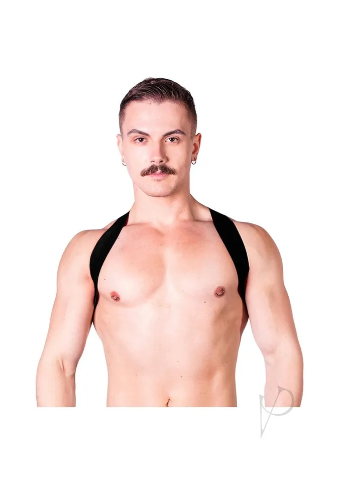 Prowler RED Sports Harness Lite LargeXLarge Black Prowler Red Anal