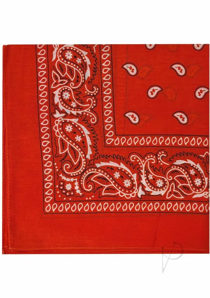 Prowler Red Vibrators Prowler RED Hanky Orange