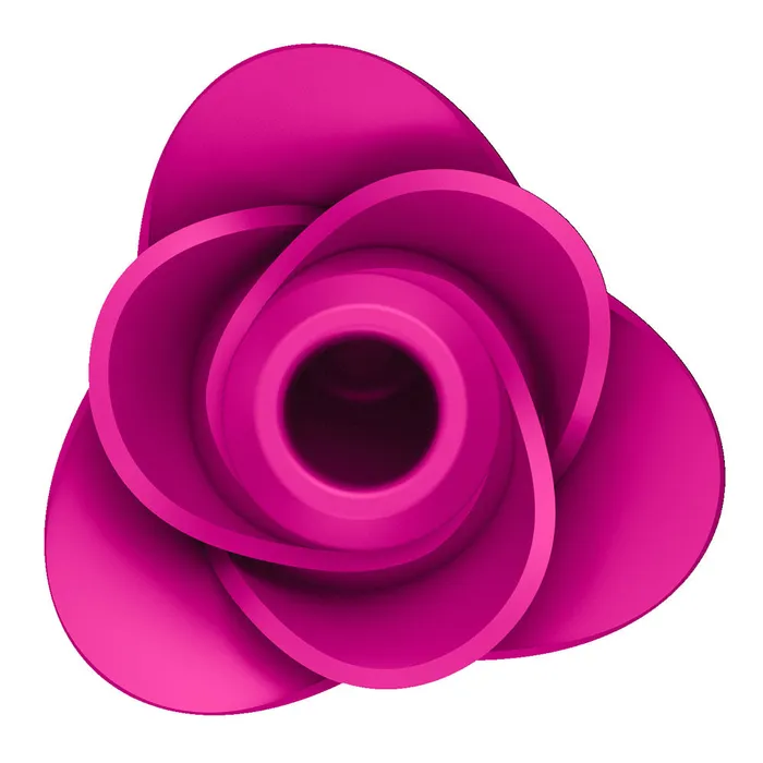 Satisfyer Pro 2 Modern Blossom Air Pulse Rose Stimulator Satisfyer Vibrators