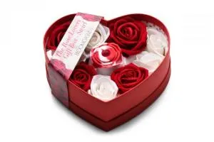 SimpleeDiscreet Bloomgasm the Rose Lovers Gift Box Swirl Vibrators