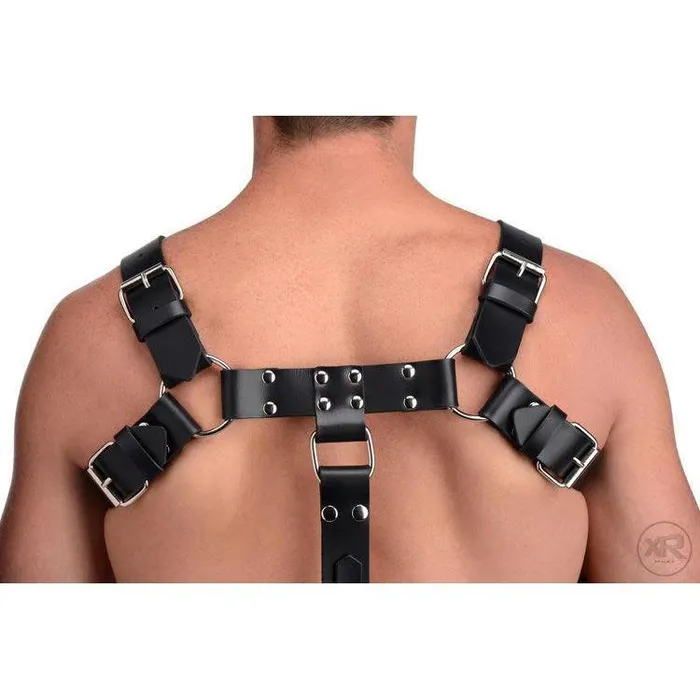Strict Leather English Bull Dog Harness with Cock Strap Female Sex Toys