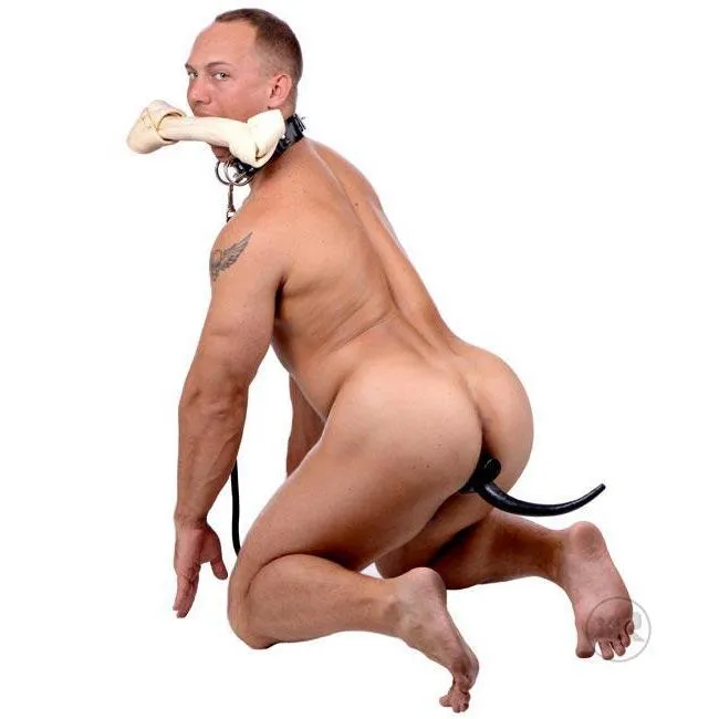 The Dog Tail Butt Plug Master Series Anal