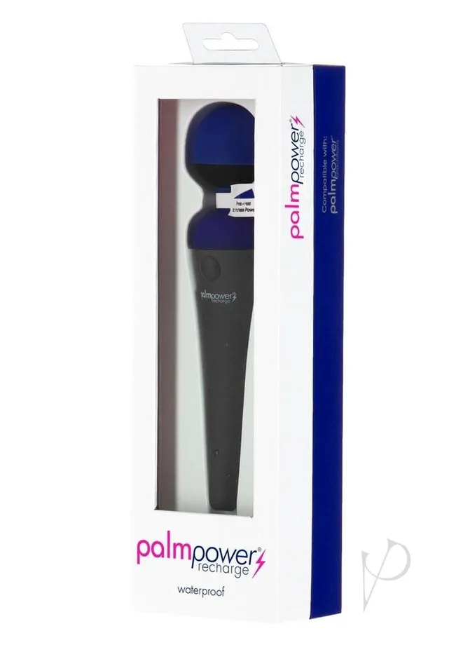 Vibrators Palmpower PalmPower Recharge Massager Blue