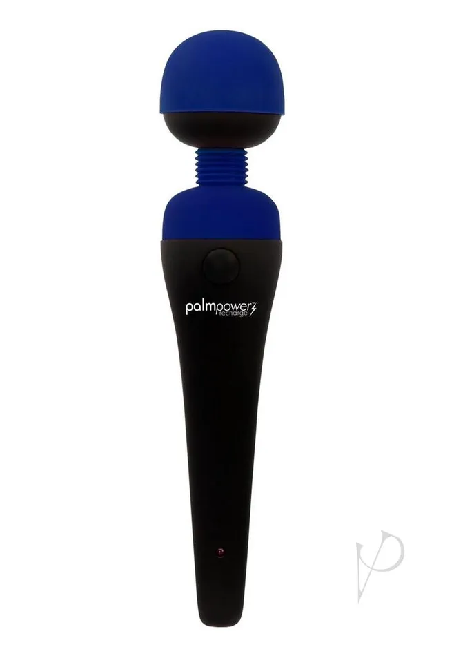 Vibrators Palmpower PalmPower Recharge Massager Blue